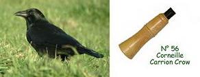 Appeau (chilets) corneille