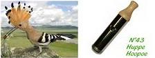 Appeau (chilets) huppe