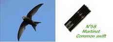 Appeau (chilets) martinet