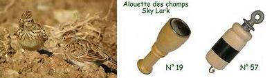 Appeaux (chilets) alouette