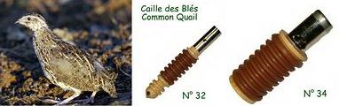 Appeaux (chilets) caille des bl�s