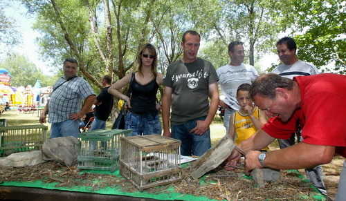  exposition de l' association de d�fense des chasses traditionnelles � la grive