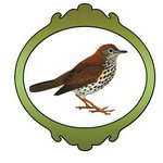 Le logo de l'association de défense des chasses traditionnelles à la grive Le logo de l'association de défense des chasses traditionnelles à la grive