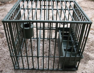Cage à grive en plastique, côté Cage à grive en plastique, côté