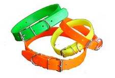 Collier fluo pour chiens en PVC arm�