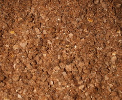 Alimentation pour les grives, le m�lange figue