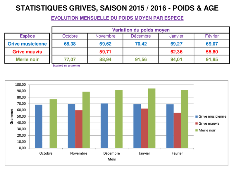 Statistiques grives - évolution mensuelle du poids Statistiques grives - évolution mensuelle du poids