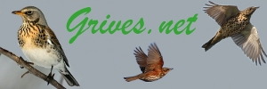 Grives.net Grives.net