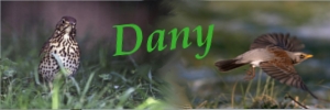 signature-dany.jpg signature-dany.jpg