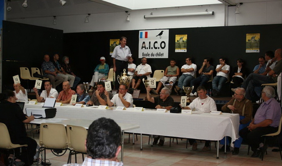 concours d'imitation du chant des oiseaux AICO, grive concours d'imitation du chant des oiseaux AICO, grive