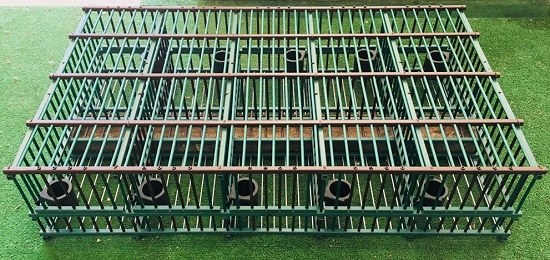 Cage à grive nourrisseur en bois, pour engrainer les grives Cage à grive nourrisseur en bois, pour engrainer les grives