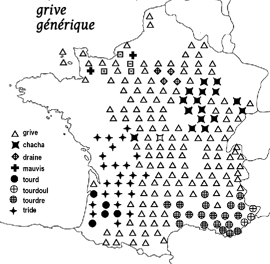 carte noms grives carte noms grives