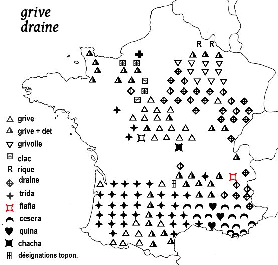 carte noms grives draine carte noms grives draine