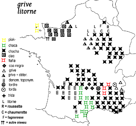 carte noms grives litorne carte noms grives litorne
