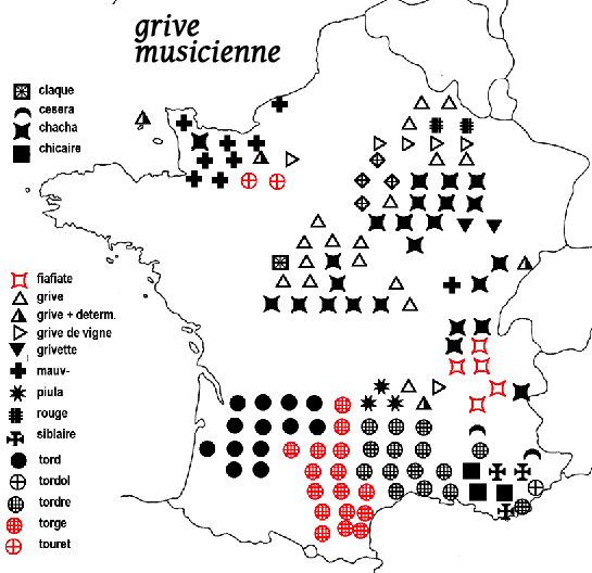 carte noms grives musicienne carte noms grives musicienne